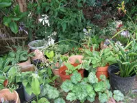 076_1024x768.webp