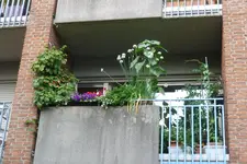 P1020525.webp