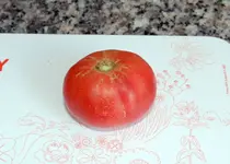 DSC_7706.2.webp