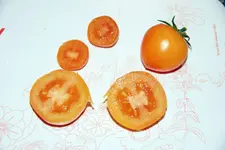 DSC_7748.2.webp