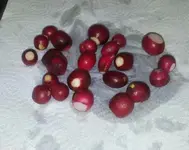 20130729_220319-1.webp