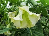 CIMG8914.webp