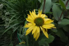 2013_0728Sommer0009.webp