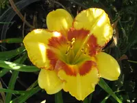 233_1024x768.webp