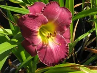 dunkle von christa_1024x768.webp