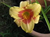 sä 30_1024x768.webp