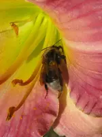 014_576x768.webp