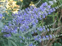 014.webp