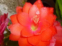 P1080069.webp