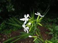 unbekannte4.webp