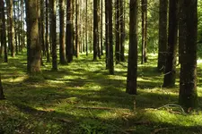 2013_0730Sommer0094.webp