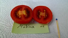 31.07 (9).webp