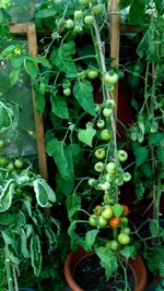 31.07 (10).webp