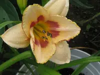 ab frage_1024x768.webp