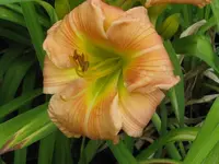 fragez 2_1024x768.webp