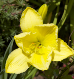 IMG_5154.webp