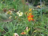 042_1024x768.webp