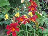 045_1024x768.webp