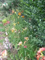051_576x768.webp