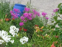 052_1024x768.webp