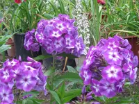 043_1024x768.webp