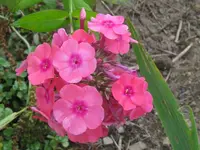 044_1024x768.webp