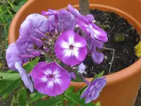 061_1024x768.webp