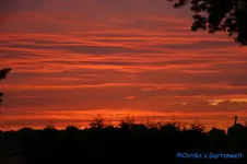 comp_DSC00178.webp
