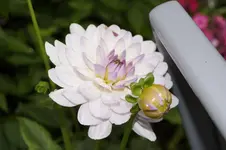 _DSC2881.webp