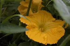 _DSC2887.webp