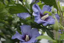 _DSC2874.webp