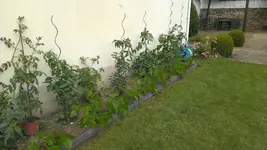2013-07-13 16.42.45.webp