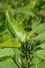 comp_DSC03484.webp
