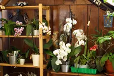 comp_DSC03499.webp