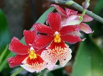comp_DSC03498.webp