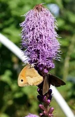 comp_DSC03465.webp
