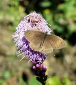 comp_DSC03469.webp
