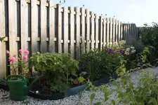 Rabatte am Holzzaun.webp