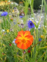 DSCN2395.webp