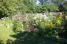 Garten 08 2013 025.webp