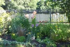 Garten 08 2013 026.webp