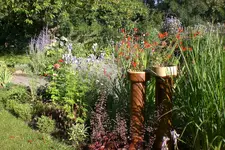 Garten 08 2013 029.webp