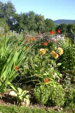 Garten 08 2013 030.webp