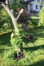 Garten 08 2013 031.webp