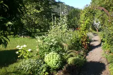 Garten 08 2013 035.webp