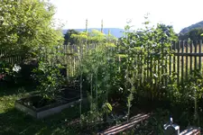 Garten 08 2013 036.webp