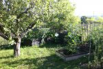 Garten 08 2013 037.jpg