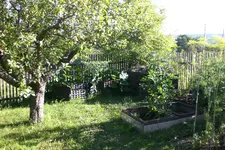 Garten 08 2013 037.webp