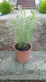 2013-08-01 20.01.55.webp