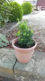 2013-08-01 20.02.03.webp